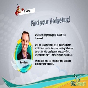 How to Find Your Hedgehog!