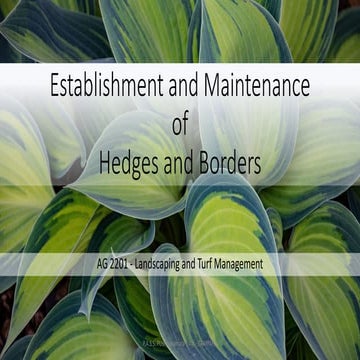 hedges.pdf