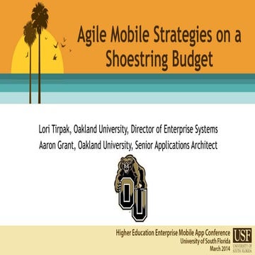 Agile Mobile Strategies on a Shoestring Budget