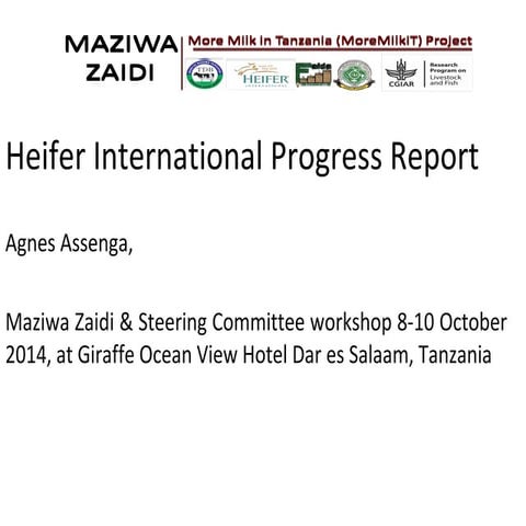 Heifer international progress report