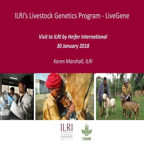 ILRI’s Livestock Genetics Program—LiveGene