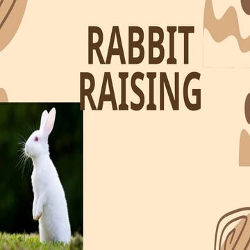 HELE (2).pptx Rabbit Raising and its different types | PPTX
