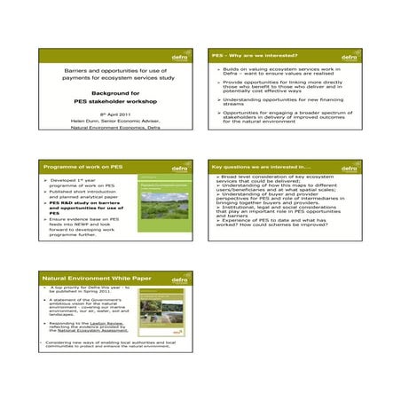 Why are Defra interested in Payments for Ecosystem Services?