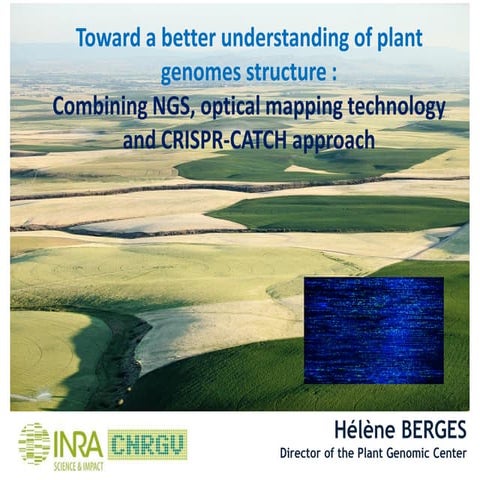 Toward A Better Understanding Of Plant Genome Structure: Combining NGS, Optic...