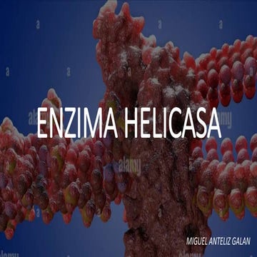 HELICASAS.pptx