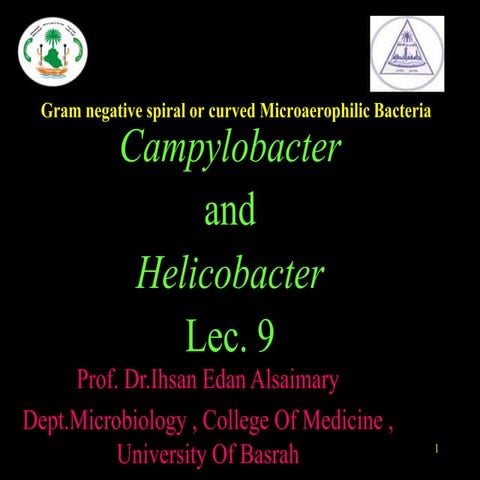 Helicobacter &amp; campylobacter lec.11 dr.ihsan alsaimary