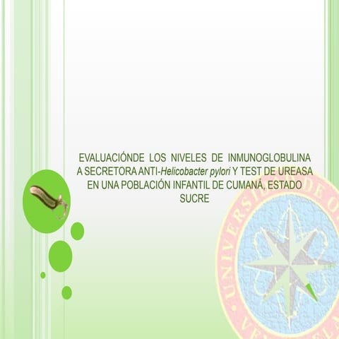 Helicobacter pylori (IgAs y test de ureasa)