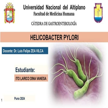 Helicobacter Pylori_Dina Vanesa Ito Larico.pptx