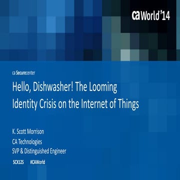 Hello, Dishwasher! The Looming Identity Crisis on the Internet of Things