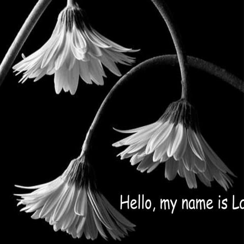 Hello my name is hill