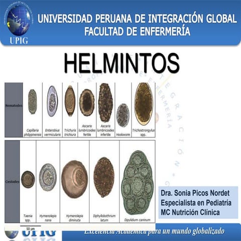 Helmintos