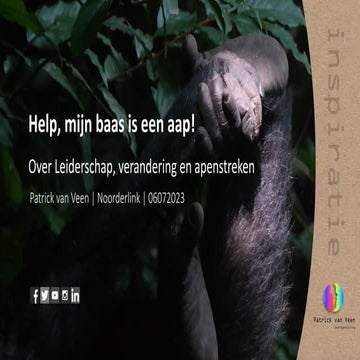Help Mijn Baas Is Een Aap