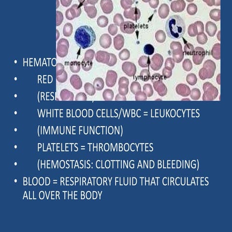 INTRODUCTION TO CLINICAL HEMATOLOGY powerpoint Biology Diagrams
