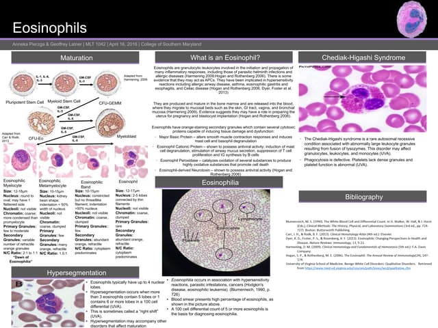 Hematology eosinophil presentation