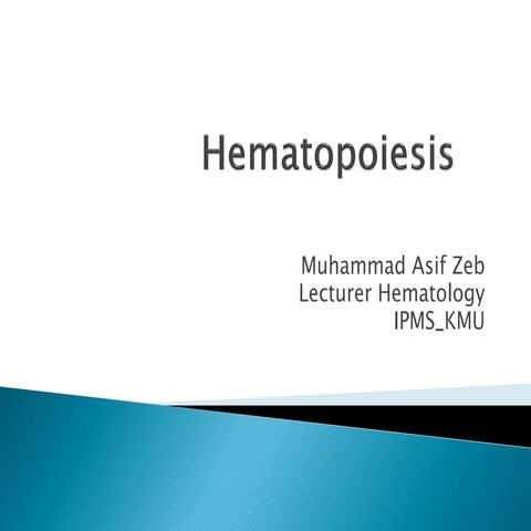 Hematophoisis 