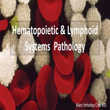 Hematopoietic and Lymphoid Systems  Pathology