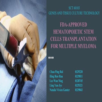 Hematopoietic Stem Cells Transplantation for Multiple Myeloma | PDF