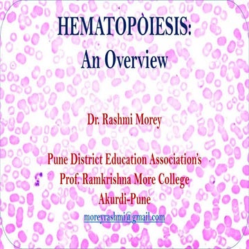 Hematopoiesis and Erythropoiesis | PDF