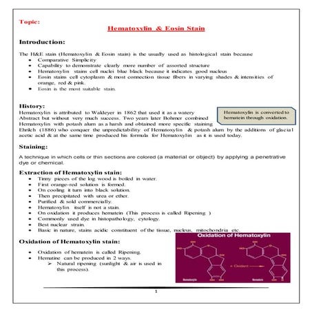 Hematoxylin & eosin stain