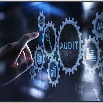 Private & government audit 