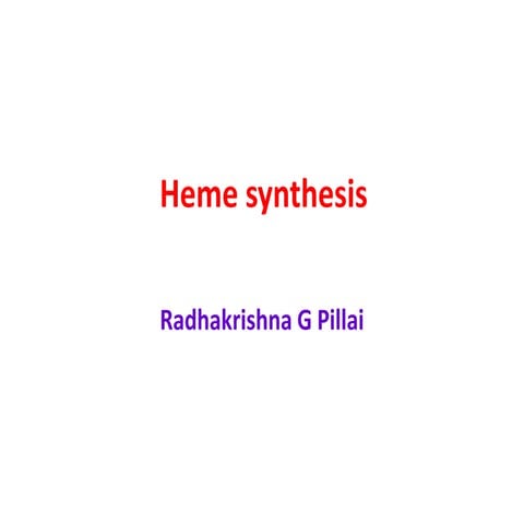 Heme synthesis