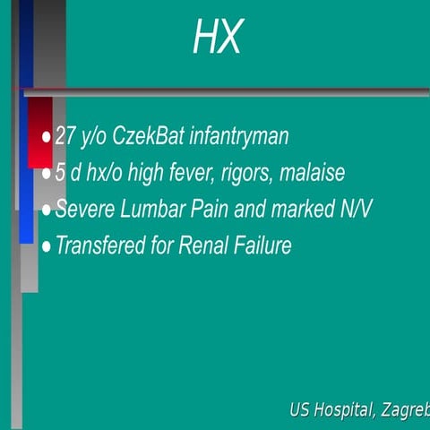 Hemmorhagic fever zagreb