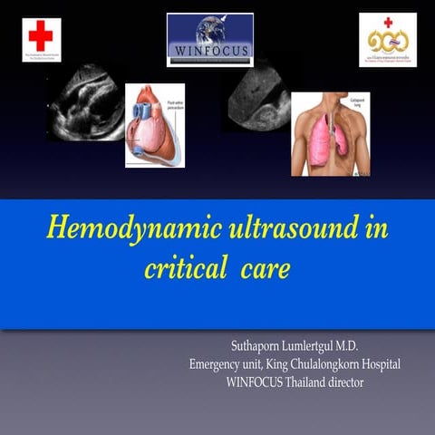 ACTEP2014: Hemodynamic US in critical care