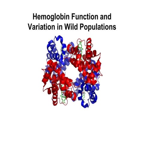 hemoglobin-lab-presentation.pptx