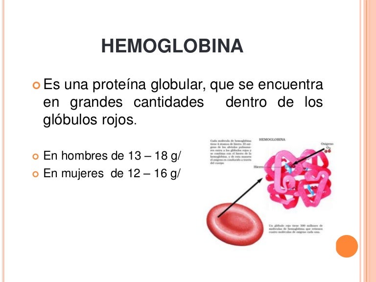 Hemoglobina