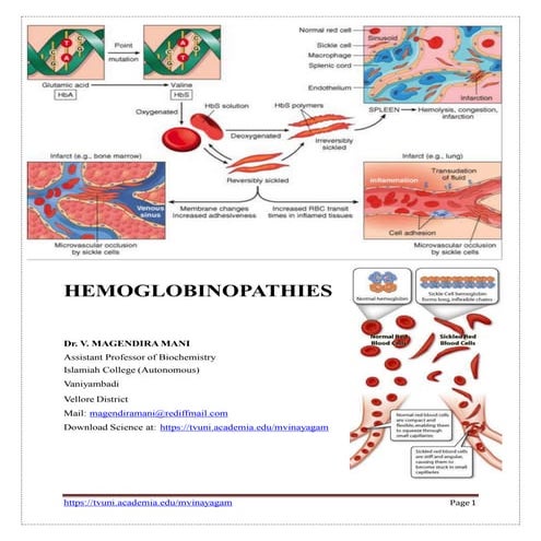 Hemoglobinopathy & erythrocyte enzyme disorder