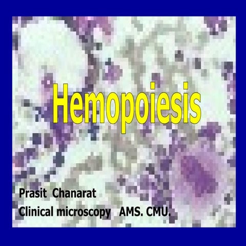 Hemopoiesis[med]