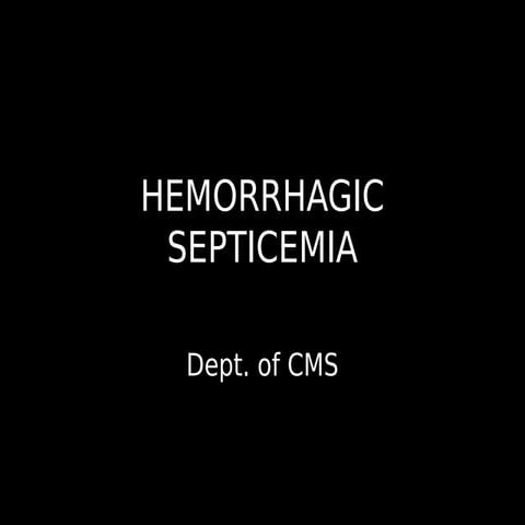 Hemorrhagic septicemia
