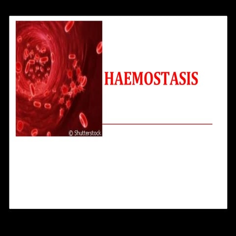 HEMOSTASIS
