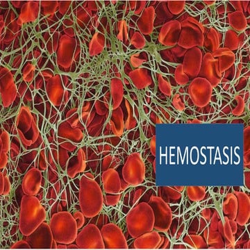 Hemostasis by Dr.Rafi