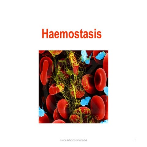 Hemostasis ROUND cccccccc for 5+2  (1).pptx