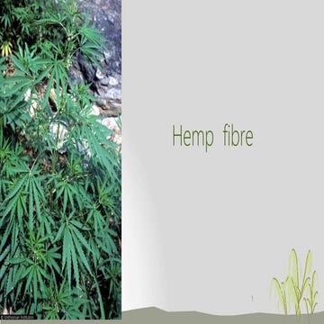 hemp-200627132246.pptx