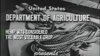 Was Hemp The Real Reason Marijuana Was Made Illegal In 1937?