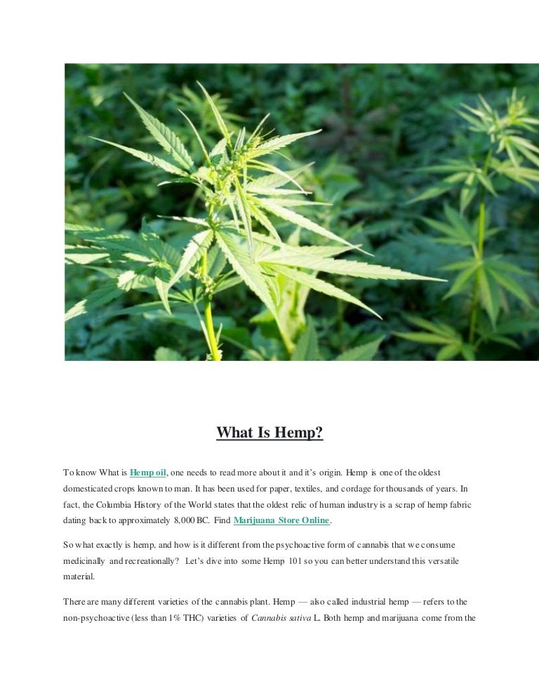 What Is Hemp, It's Uses and Why Is It Illegal