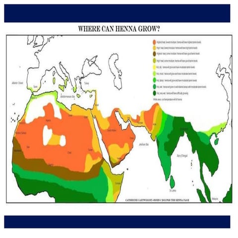 henna presentation | PPT