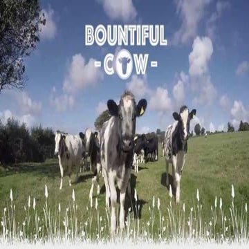 View from a start up