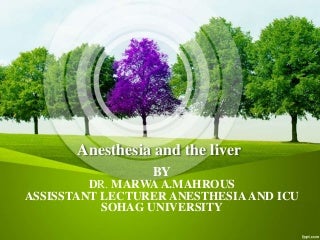 Hepatic anesthesia