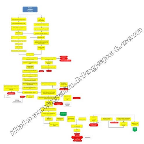 Hepatic Encephalopathy1 | PDF