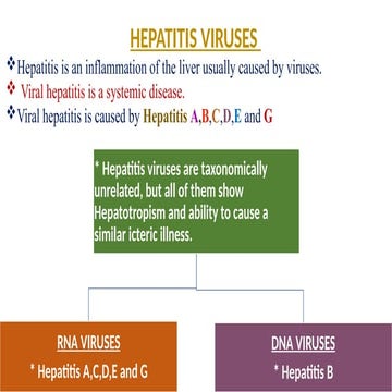 HEPATITIS.pptx microbiology ppt highly recommend