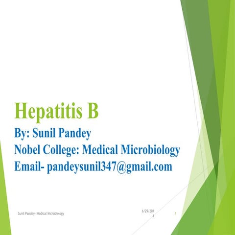 Hepatitis B  virus