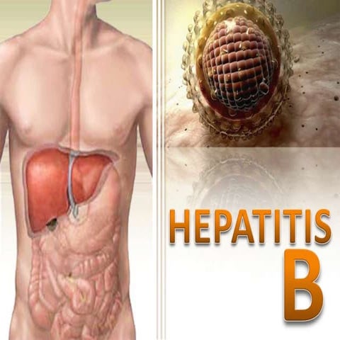 Hepatitis B | PPTX