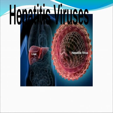 Hepatitis B.microbiology, medical microbiology | PPT