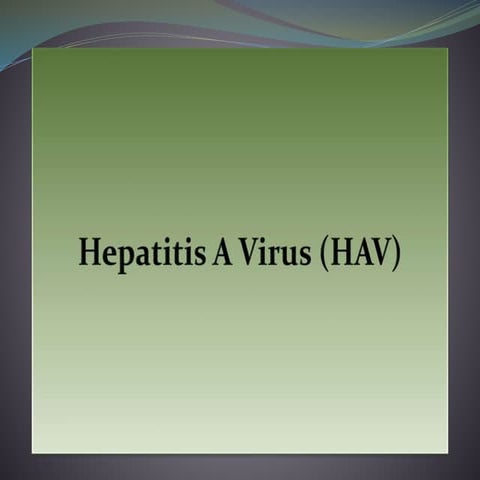 Hepatitis A Virus (HAV).pptx