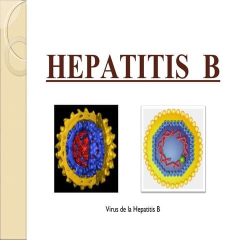 Hepatitis B | PPTX