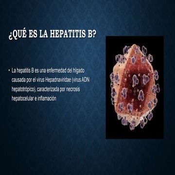 Vacuna contra la hepatitis B indicaciones contraindicaciones viabilidad ...