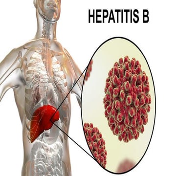 Hepatitis B========================.pptx